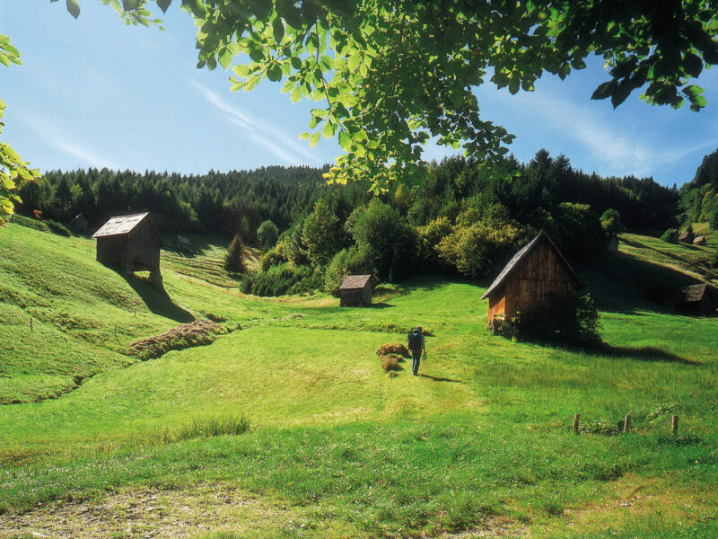 Heuhüttental-im-Murgtal_Zweckverband-Im-Tal-der-Murg