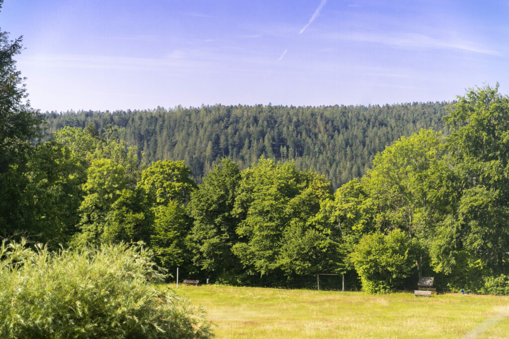 Schwarzwald